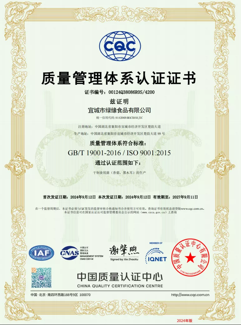 ISO 9001质量管理体系认证